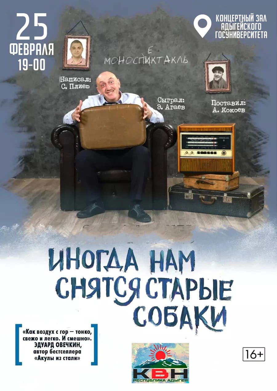 Иногда нам снятся старые собаки